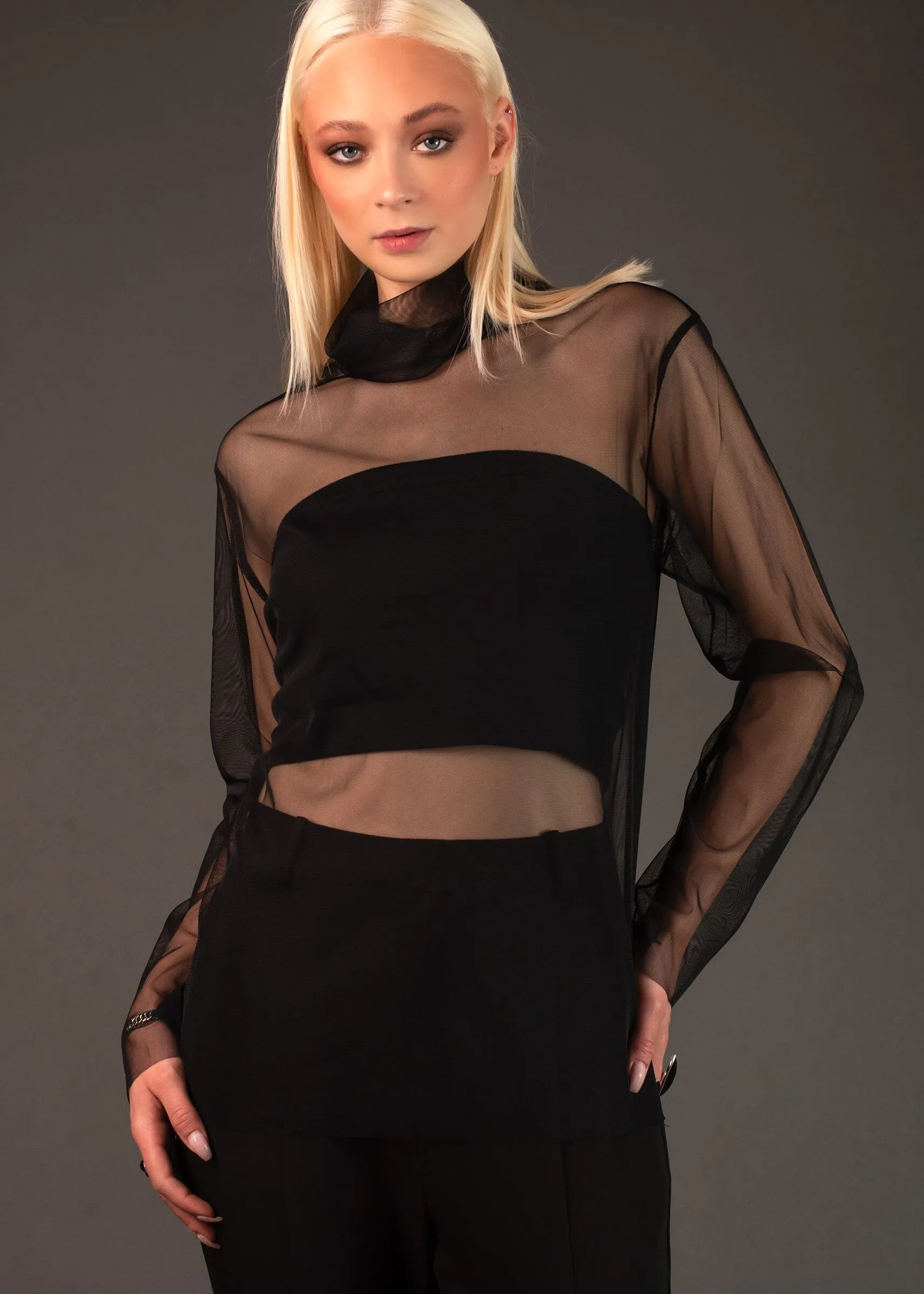 Long Sleeve Sheer Turtleneck