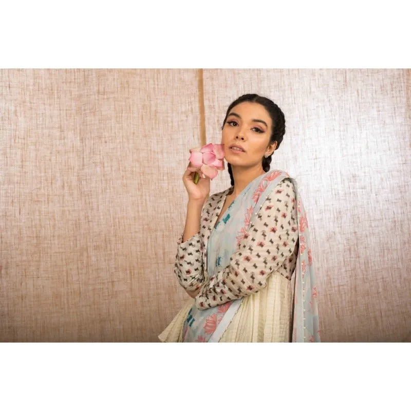 Powder Blue Digital Printed Saree